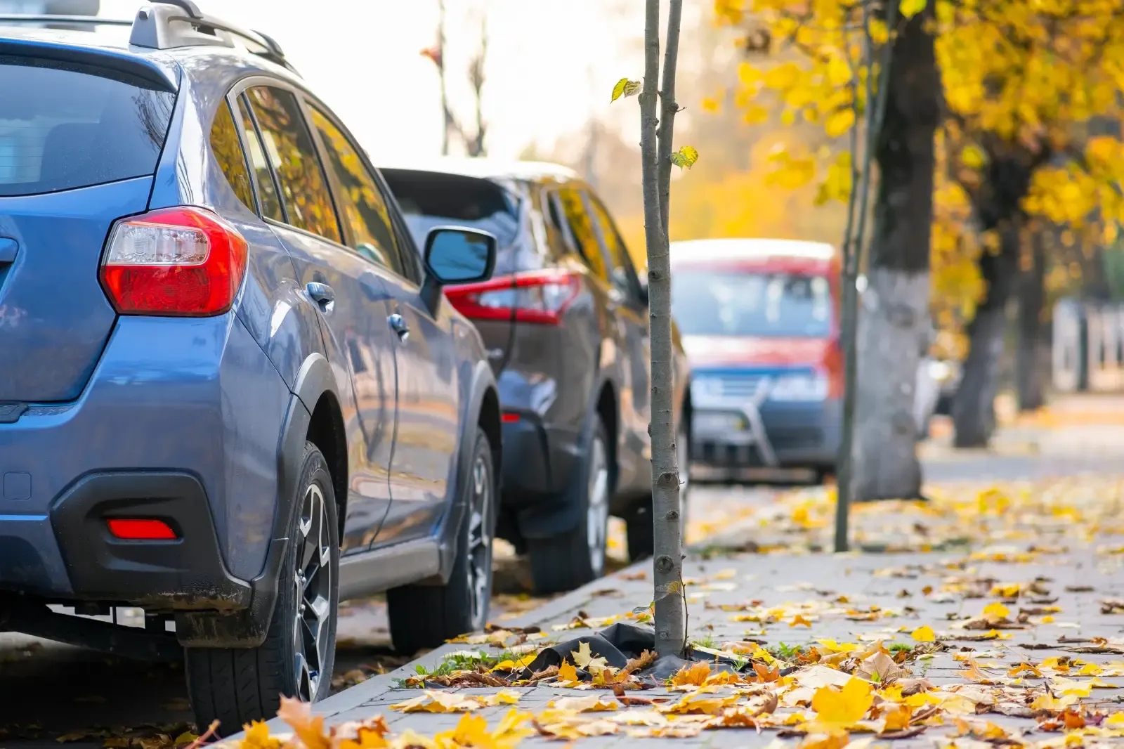 Lumen on Ninth Student Living Apartments Parked cars line a city street covered with yellow autumn leaves and bordered by trees.