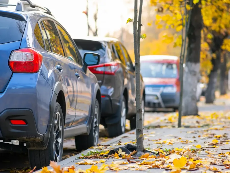 Lumen on Ninth Student Living Apartments Parked cars line a city street covered with yellow autumn leaves and bordered by trees.